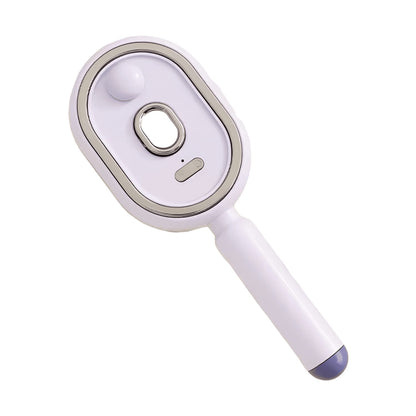 Electric Spray Air Cushion Comb – Retractable Detangling & Mist Styling Brush